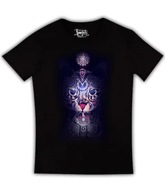 кошка, кот, котенок